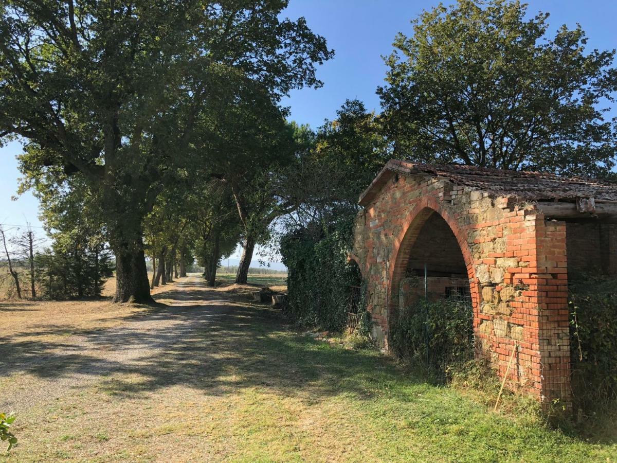 Antico Casale Silvia Villa Alberoro Eksteriør billede