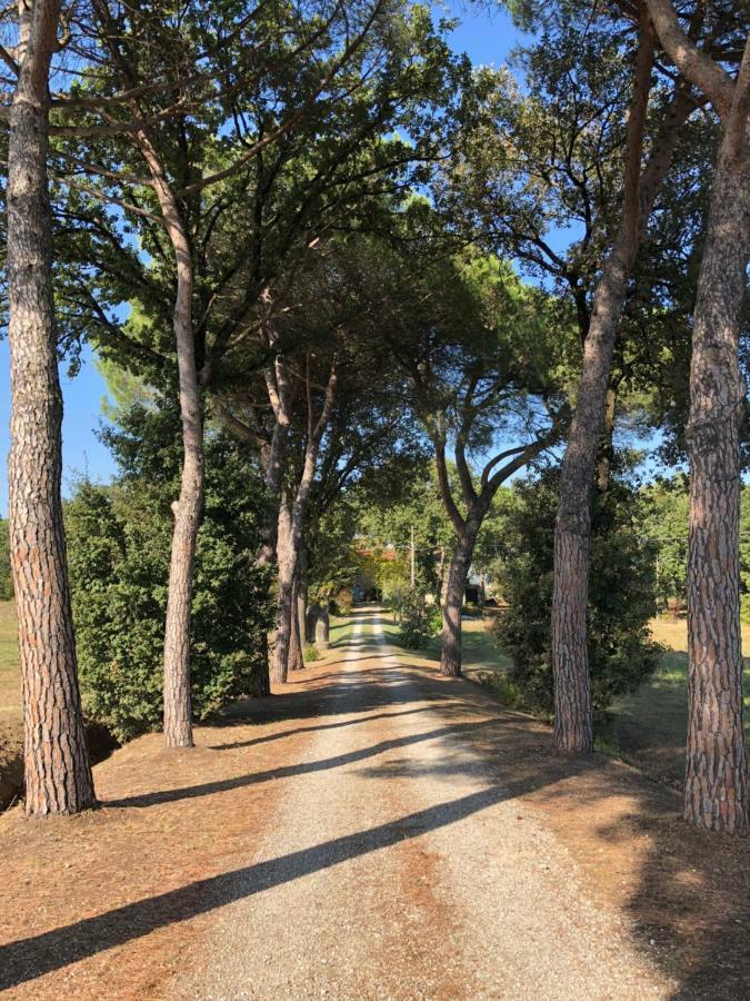 Antico Casale Silvia Villa Alberoro Eksteriør billede